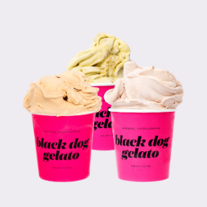Dairy Free Flavors Pint Pack Gift