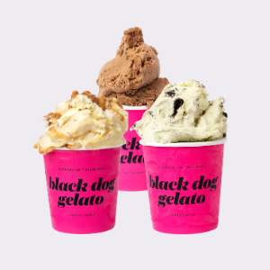 Signature Flavors Pint Pack Gift