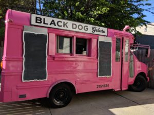 Lil Hot Pink Bus Out and About