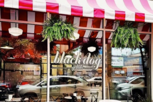 Black Dog Gelato - West Loop Shop